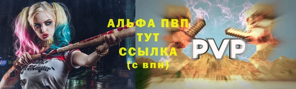 ешки Белокуриха
